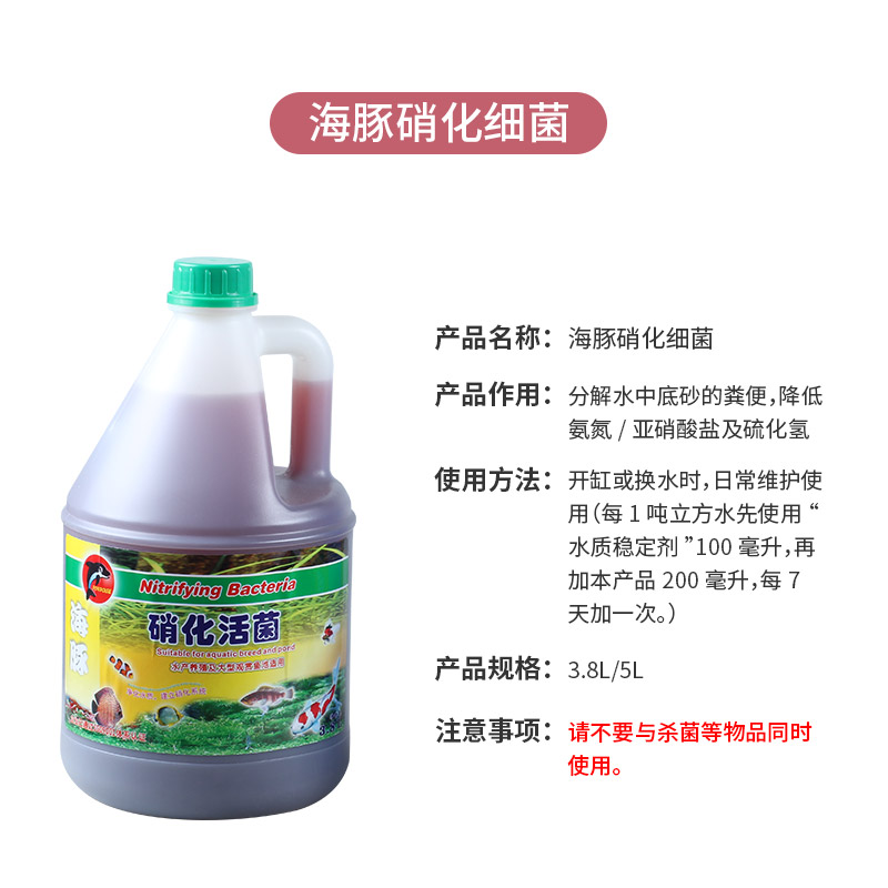 硝化菌大桶锦鲤鱼池净水细菌水族鱼缸水池水质稳定净水除氯高清大图