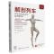 解剖列车(第4版):手法与运动治疗的肌筋膜经线 全新第4版 解剖学工具书 北京科学技术出版社