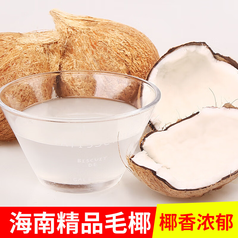 鲜木 海南牛奶椰皇 新鲜老椰子 牛奶黑椰 老椰子 青椰汁 新鲜应季水果