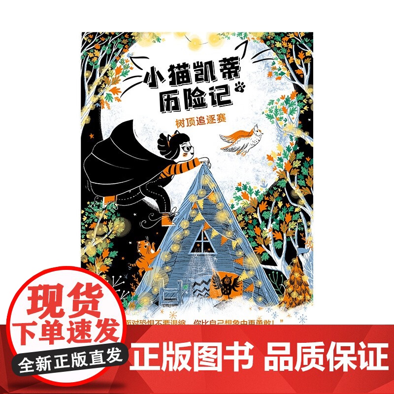 小猫凯蒂历险记6册 月光下的营救魔法空中花园花灯节之谜消失的金虎雕像暮色中的险境上海译文出版社儿童文学冒险成长励志童书小高清大图