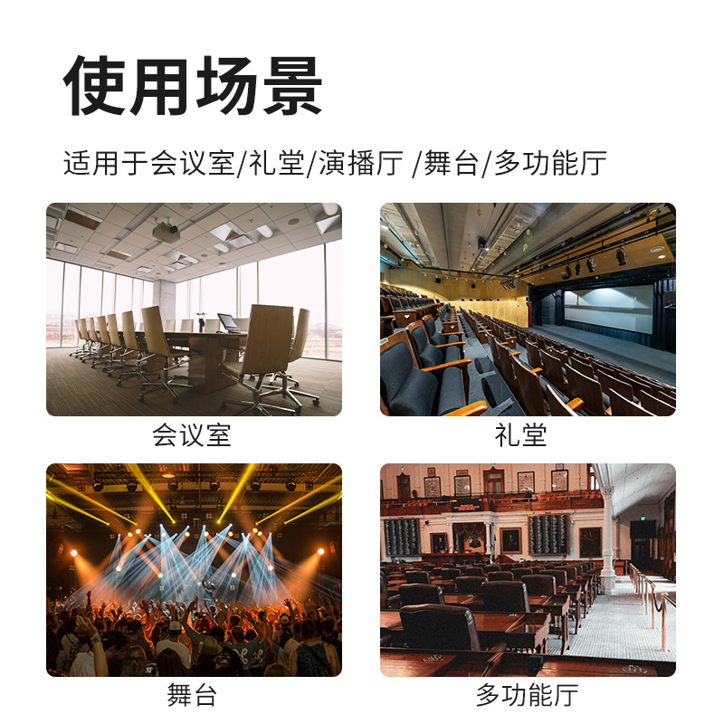 润普Runpu会议音频扩声系统专业双15英寸会议音箱无源音响礼堂会议室扩声音响设备RP-SY-XYC15高清大图