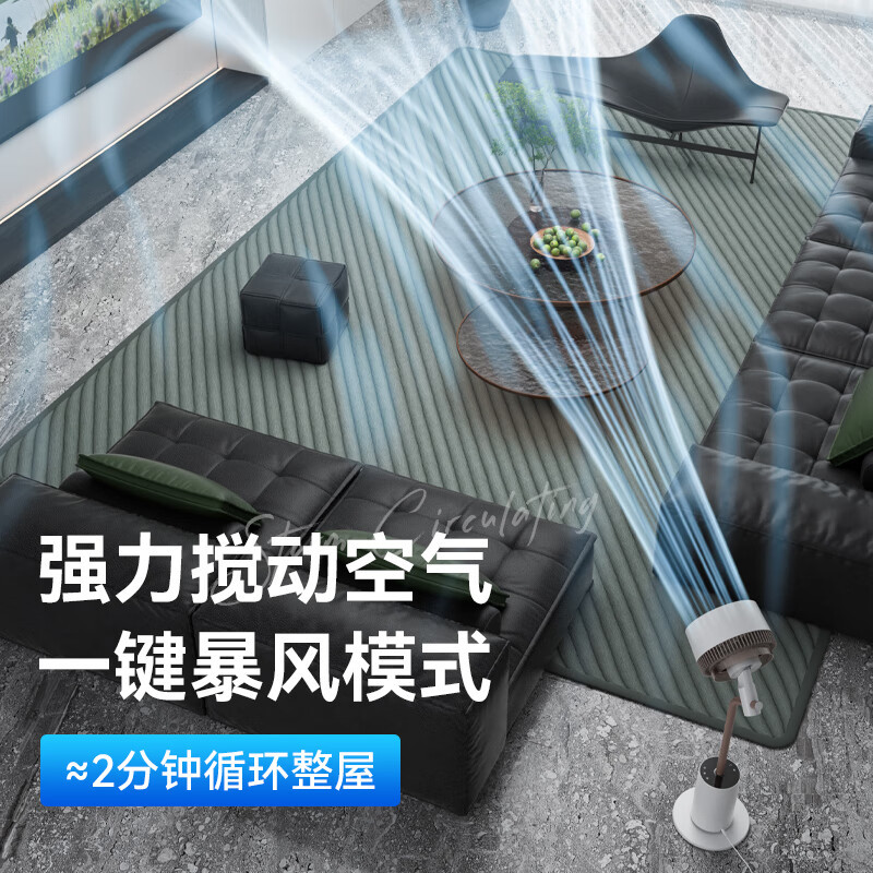 大宇(DAEWOO) 空气循环扇 电风扇落地家用大风量摇头风扇办公室直流变频轻音扇遥控落地扇 F30PRO奶糖白
