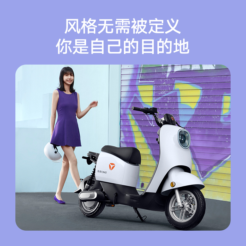 雅迪电动车新款DM2畅行版新国标成人轻便电动自行车48V24Ah可提锂电舒适减震电瓶车 48V24A/金属钛灰