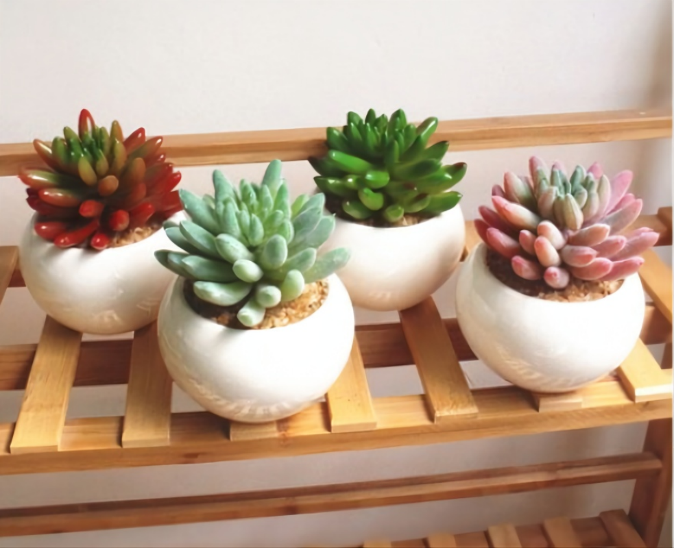 北欧假花仿真多肉植物盆栽假多肉家居店铺绿植摆件塑料装饰花盆景高清大图