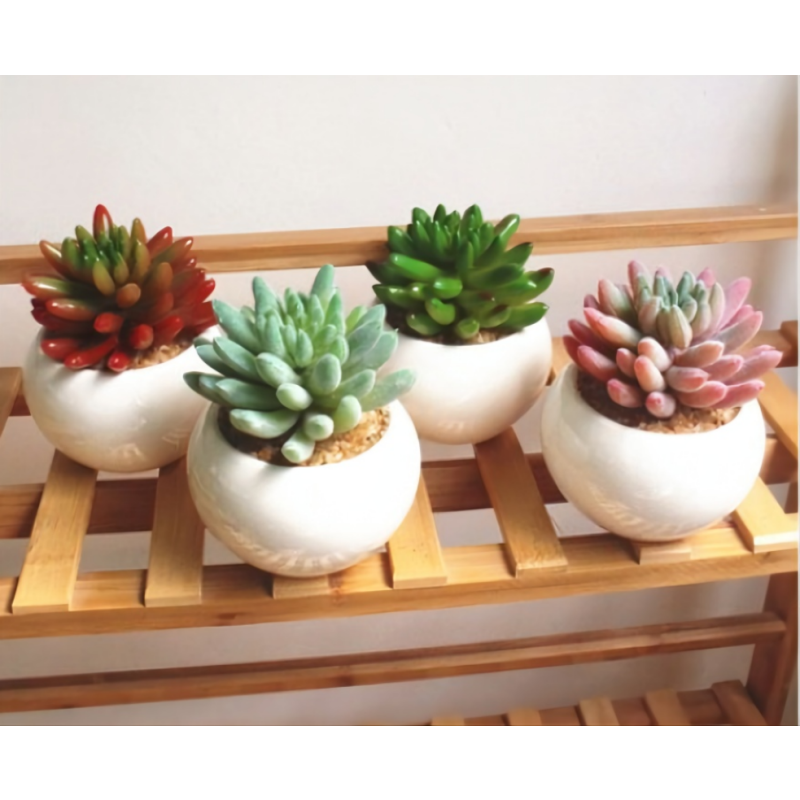 北欧假花仿真多肉植物盆栽假多肉家居店铺绿植摆件塑料装饰花盆景