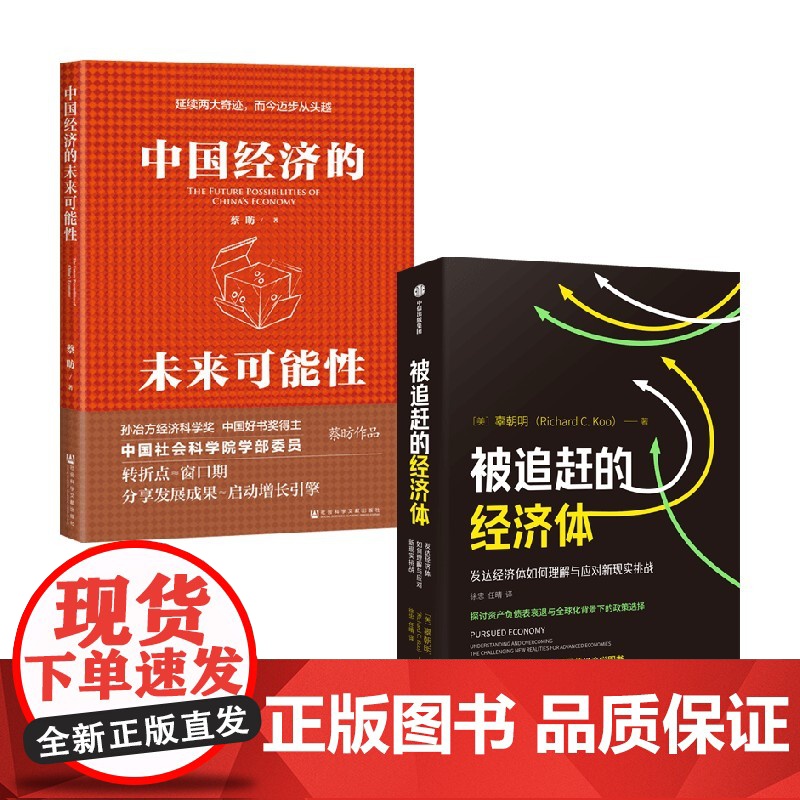 被追赶的经济体+中国经济的未来可能性 辜朝明等 著 经济高清大图