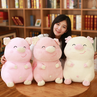 鸱吻福猪抱枕猪猪抱枕毛绒玩具男孩女孩玩具生肖生日礼物45cm 白色 插手款
