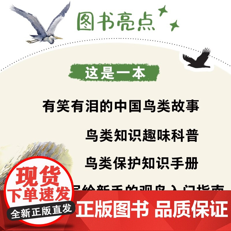 我们身边的小鸟朋友 手绘观鸟笔记 青少年少儿科普读物 课外读物 鸟类科普图鉴 手绘插画 本书适合自然爱好者和艺术爱好者阅高清大图