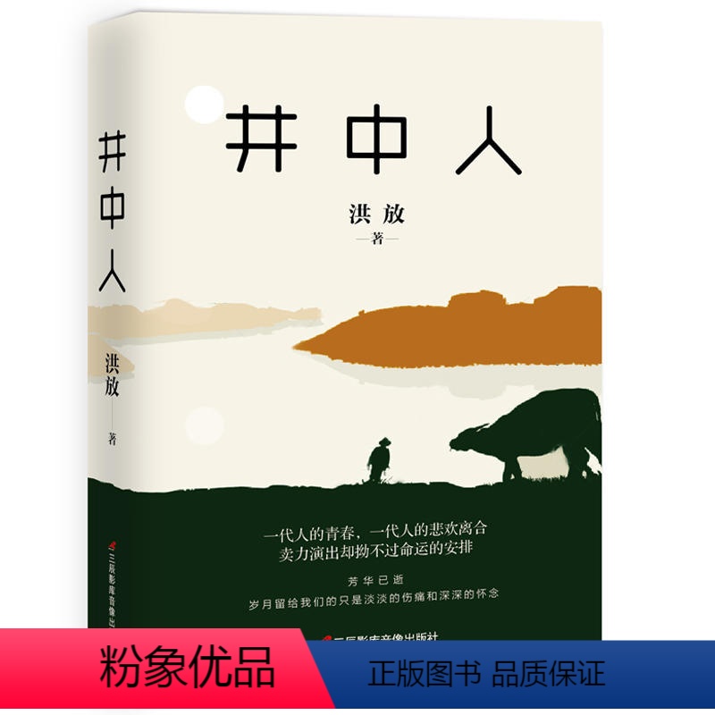 [正版]井中人 洪放 (随书书签)归宿与生存价值民国到近现代历史小说青春与成长期一个时代的结束是另一个时代的开端小说书高清大图