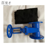 百里才 法兰闸阀 DN200个