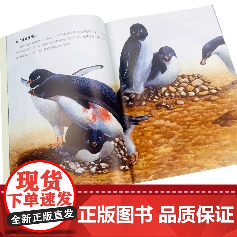 小牛顿科学馆点读版 全新升级版梦想红精选全套20册礼品装科学蓝3-6-8-10-12岁一二三四年级儿童经典科普百科图书高清大图