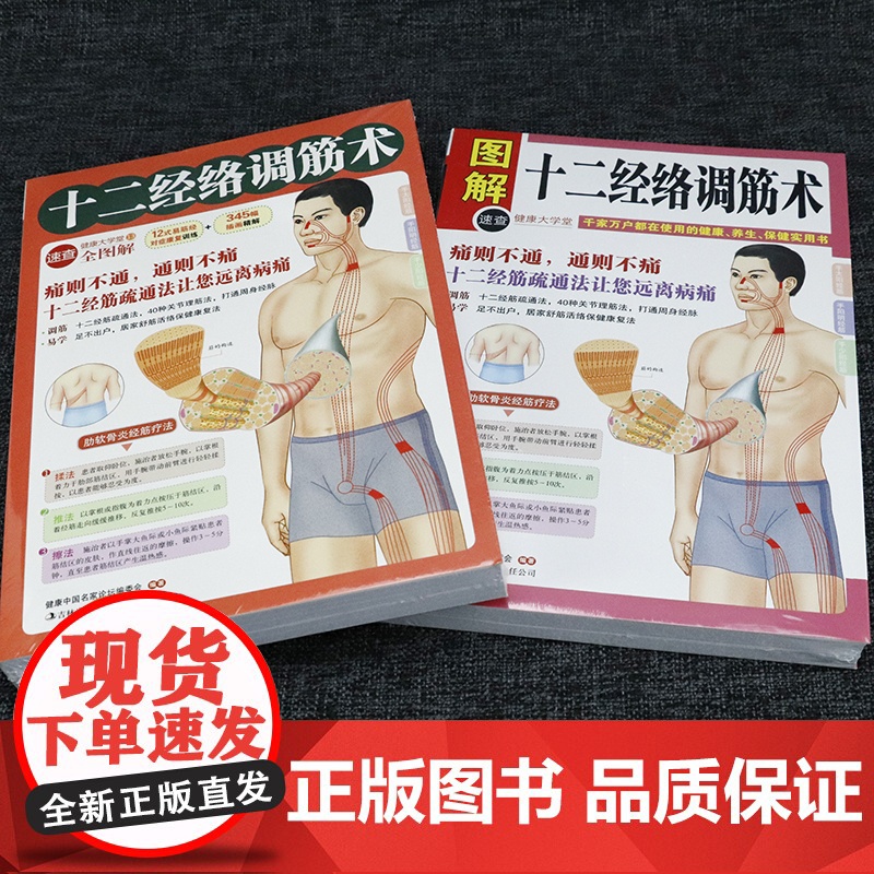 2册 拉筋拍打治百病+图解十二经络调筋术 家庭健身运动经络养生科学功能性训练激活筋膜治疗肌肉拉伸抻筋健身书籍深筋膜松解疗高清大图