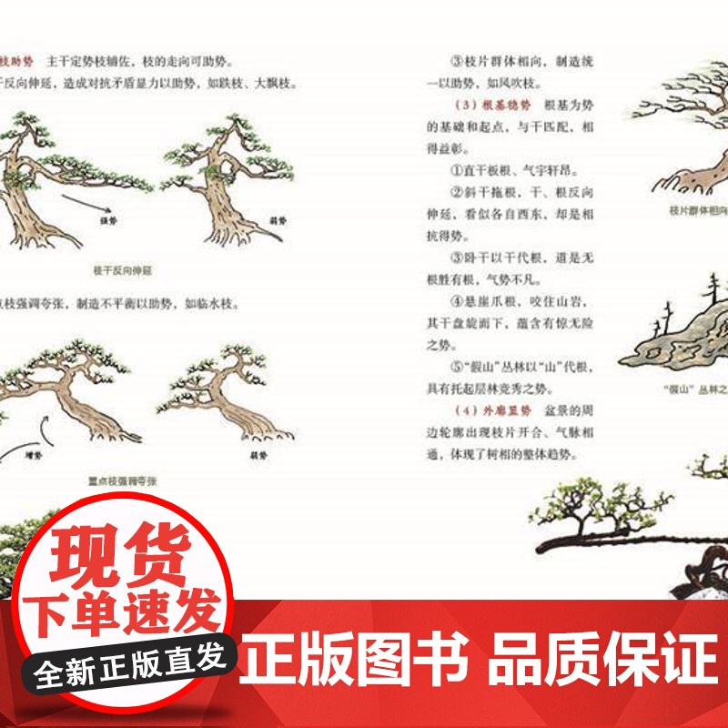 [店]树木盆景制作全图解 盆景树木、制作造型、养护、原生桩材、腹稿打样、欣赏高清大图