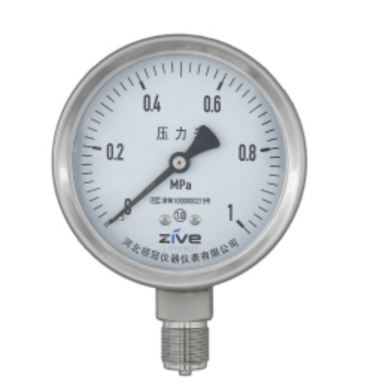 ZIVE 工业压力表ZIVE-1306459高清大图