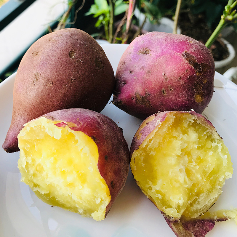 [西沛生鲜]陕西正宗板栗薯 净重8.5斤 大果 新鲜小香薯蜜薯桥头地瓜农家自种沙地板栗薯高清大图