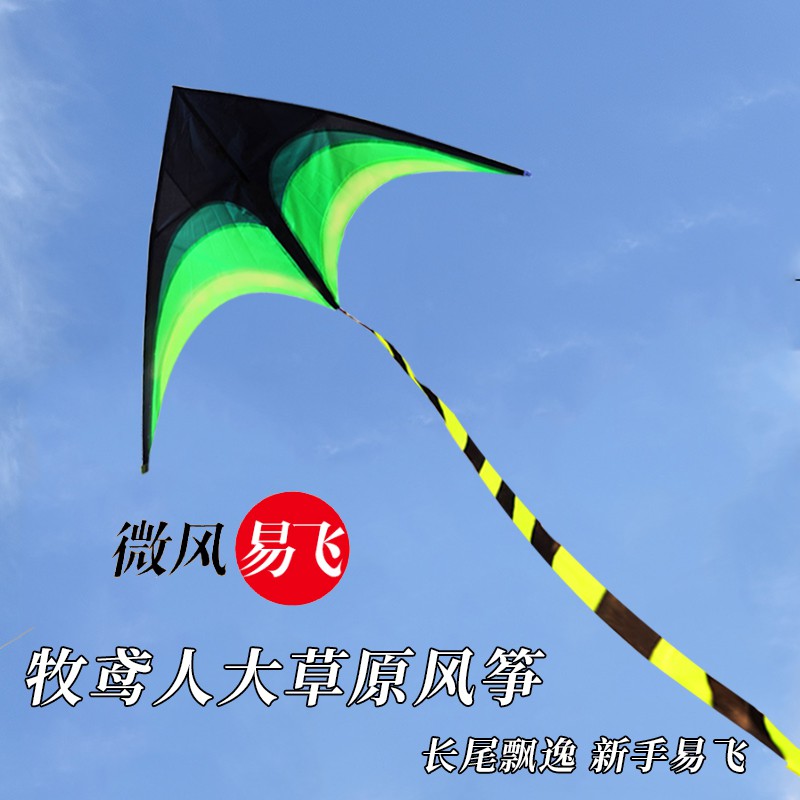 潍坊大原风筝微风易飞大型三角长尾巴初学者创意2020新款创意 三维工匠 2米蓝色草原风筝(带10米尾巴)不带线和轮高清大图