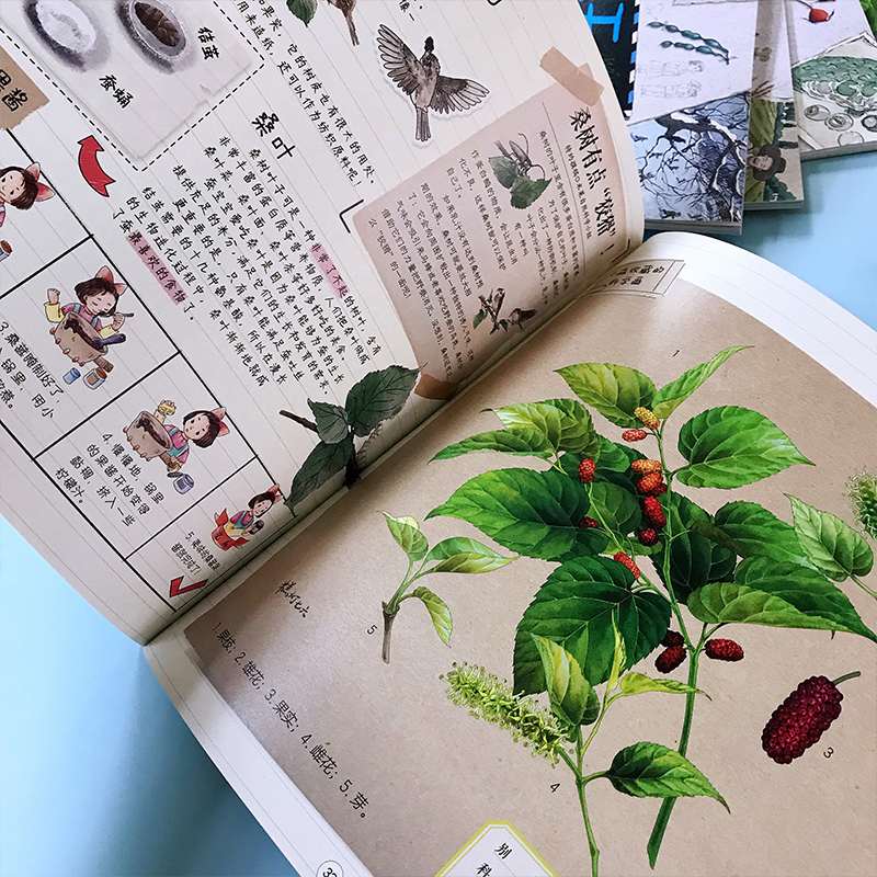 [醉染正版]中国植物很高兴认识你 儿童植物百科全书全图鉴大全趣味科普读物关于植物的绘本少儿大百科全套4册科普类书籍小学三高清大图