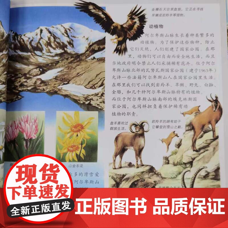 新概念儿童科学馆 自然课 法国弗勒鲁斯出版社权威儿童百科 16种外文译本 20余国 北京科学技术高清大图