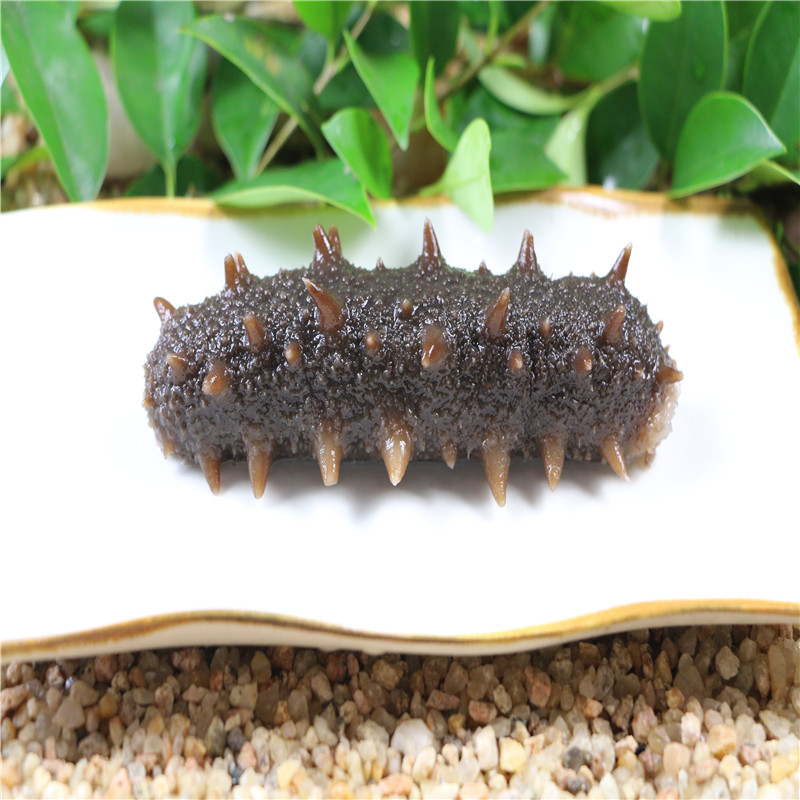 泊海情实心海参 刺参1000g 海鲜水产生鲜 丰富营养高蛋白 老人孕妇