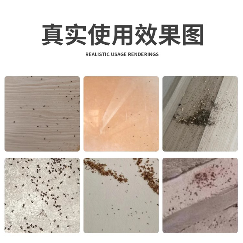 宁尔-杀虫饵剂-2盒装