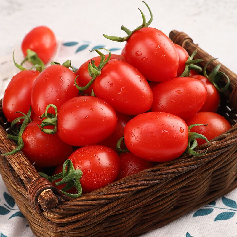 赛卡伊新鲜圣女果云南现采樱桃千禧小番茄小西红柿子水果批发2斤