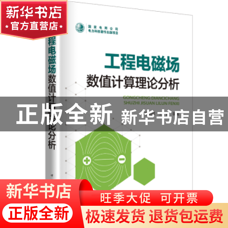 正版 工程电磁场数值计算理论分析 李朗如,王晋编著 中国电力出