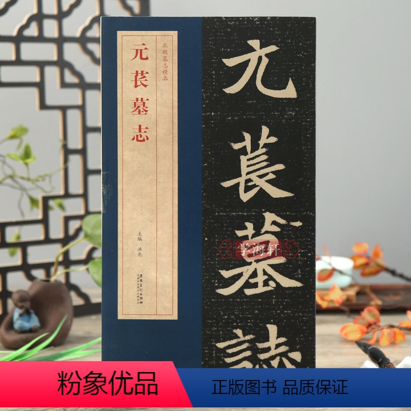 [正版]学海轩元苌墓志北魏墓志简体旁注碑帖简介原碑原帖墓志单字放大附原大整张墓志铭魏碑楷书毛笔书法字帖洪亮编
