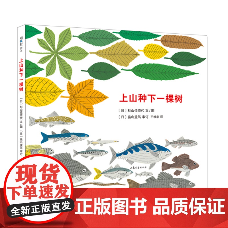 上山种下一棵树 科普生态环保 3-6岁精装绘本一粒种子的旅行前传植物森林松鼠狐狸猫头鹰动物山海太阳和海洋自然爱心树正版包高清大图