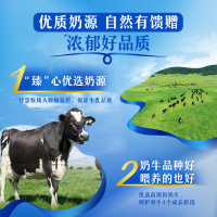 [7月生产]伊利臻浓牛奶高钙 250mL*16盒*2箱 +50%钙 咖啡伴侣 礼盒装