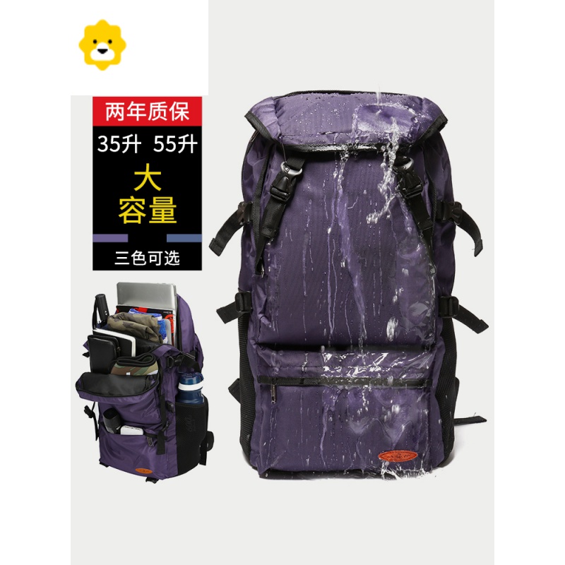 FENGHOU短途背包男士出差商务旅行包大容量男双肩包旅游户外轻便登山包黑高清大图