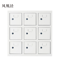 凤凰泾手机存放柜9门