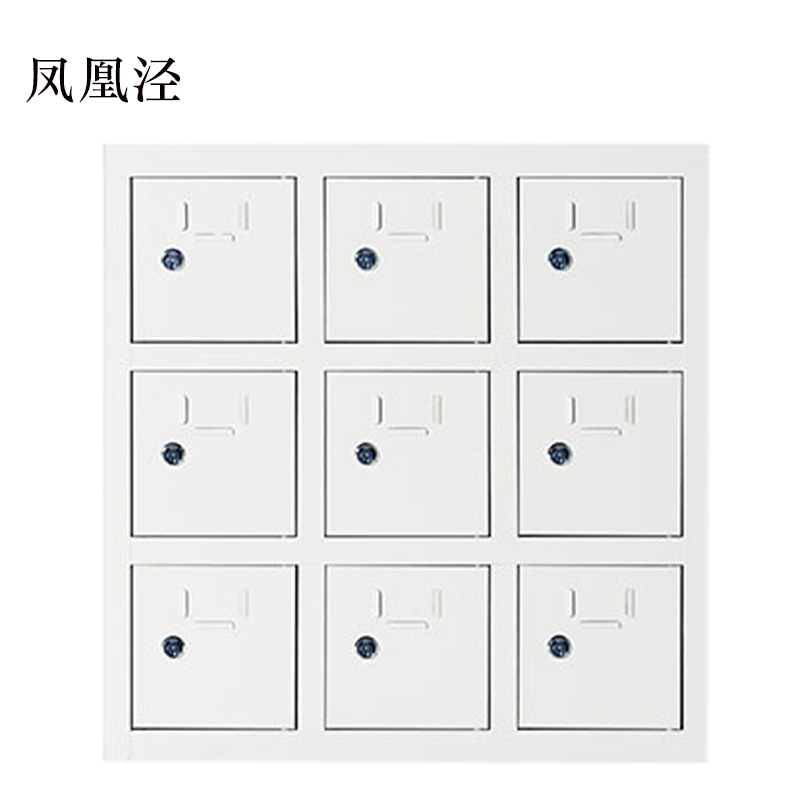 凤凰泾手机存放柜9门