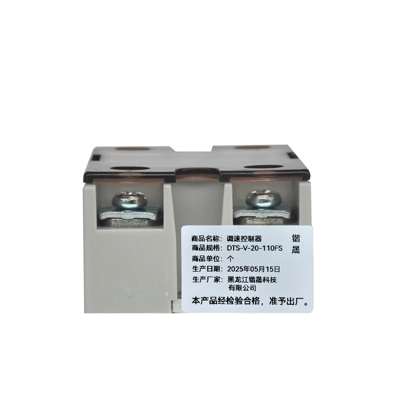 调速控制器 DTS-V-20-110FS 个高清大图
