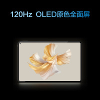 华为HUAWEI MatePad Pro 11英寸 性能版 12+512GB LTE 锦白 平板电脑 120Hz OLED原色全面屏鸿蒙超轻薄影音娱乐学习办公平板