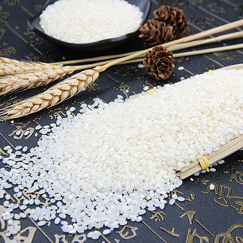 崇明鸭稻米10斤鸭稻共生农家生态香米珍珠米粳米粥米5kg