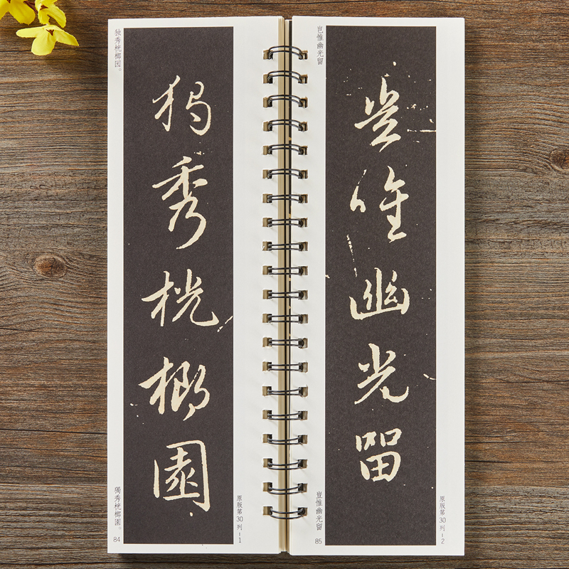 赵孟頫梅花诗字卡 [正版]元赵孟頫梅花诗行书毛笔书法字帖原大加放大赵孟俯经典碑帖临摹字卡全文初学者成人入门练习近距离临帖高清大图