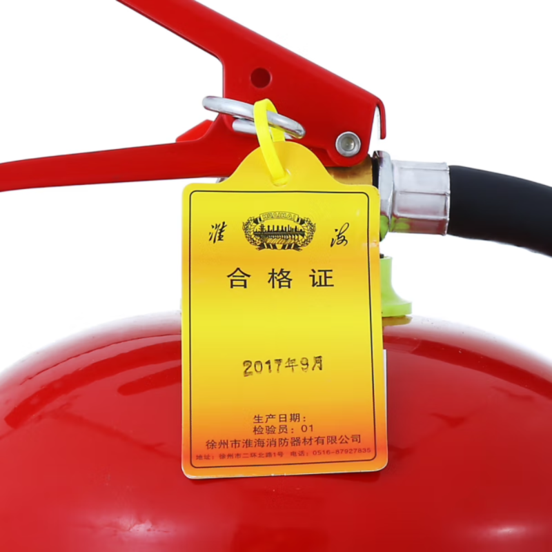 淮海灭火器水基灭火器9L(10个起发)