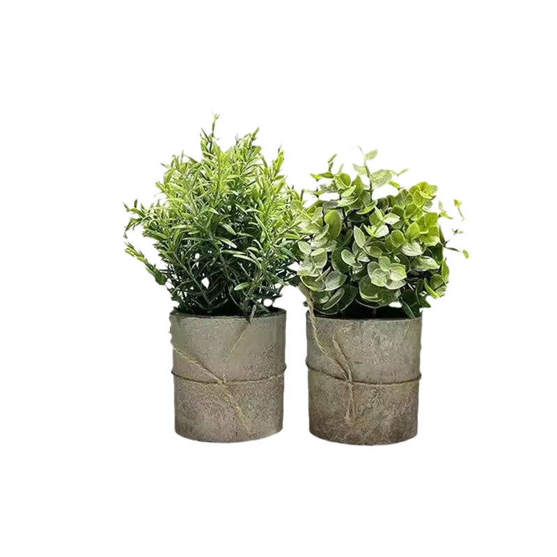 锦瑞星仿真花植物摆件M7-A件高清大图