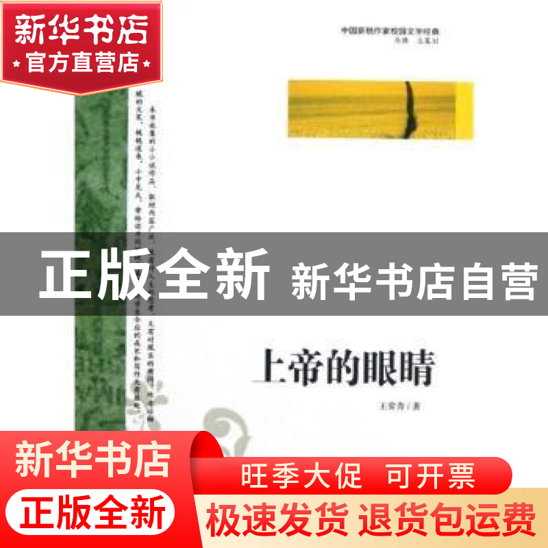 正版 上帝的眼睛 王常青著 中国社会出版社 9787508739199