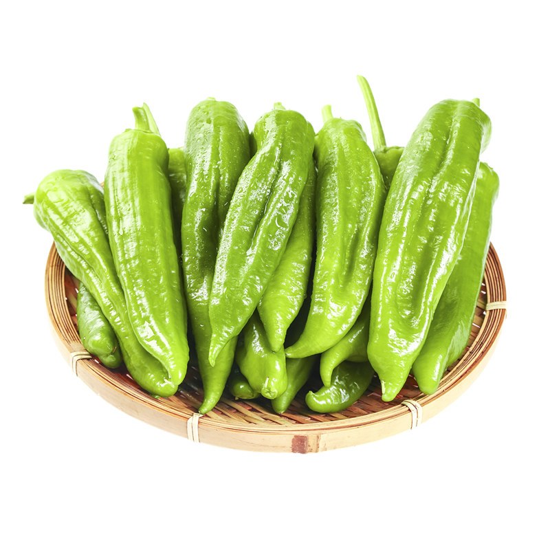 现摘现发辣椒新鲜尖椒青辣椒新鲜青椒新鲜蔬菜3斤侬田社nongtianshe