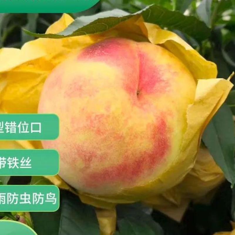 桃子专用套袋桃袋油桃毛桃黄桃套袋透气水果套袋果袋水蜜桃袋防虫-单层黄【16*19cm】;【100个】
