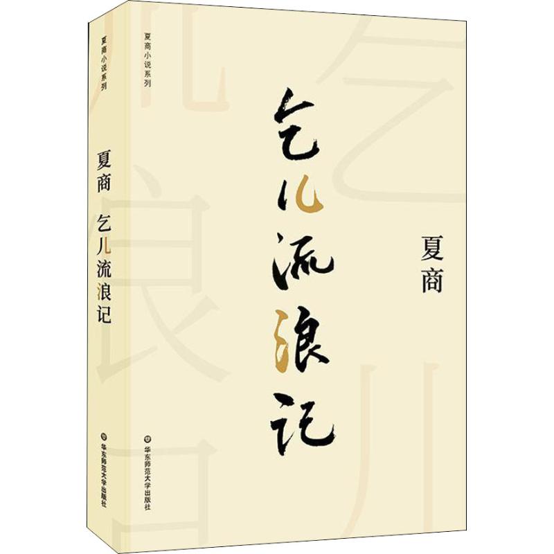 乞儿流浪记