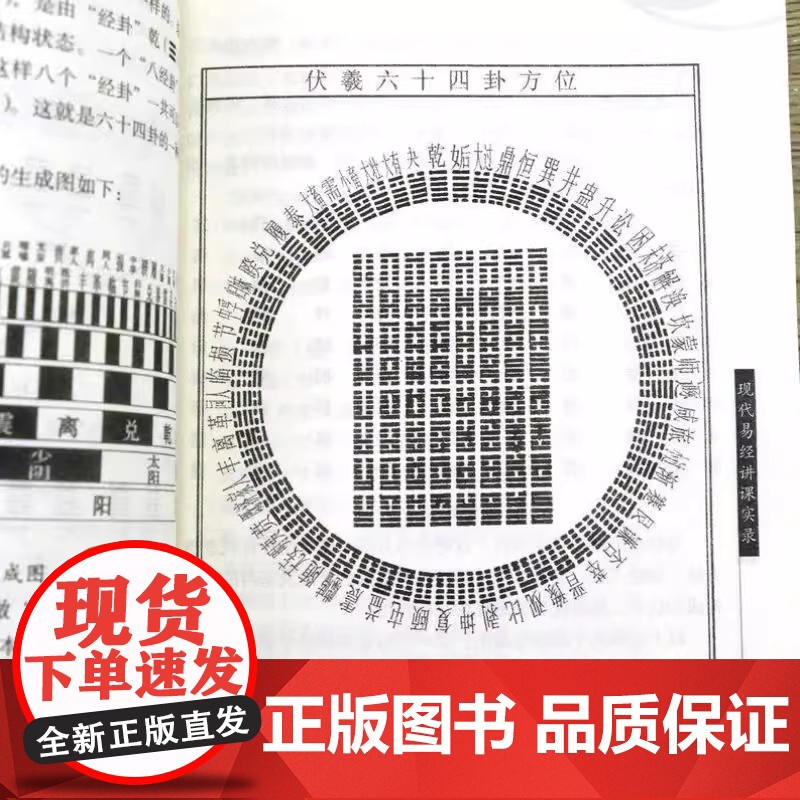 易学入门 张延生著 易经基础入门哲学宗教书籍中国哲学 正版书籍 为易学的初学者们打开一个新的进入易学科学领域的大门高清大图