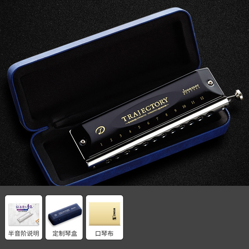 天鹅(tian e)追梦人半音阶口琴12孔c调初学者入门学生男专业演奏乐器