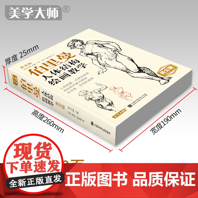 美学大师2020新书 黄金版伯里曼人体结构绘画教学人物速写入门sh高清大图