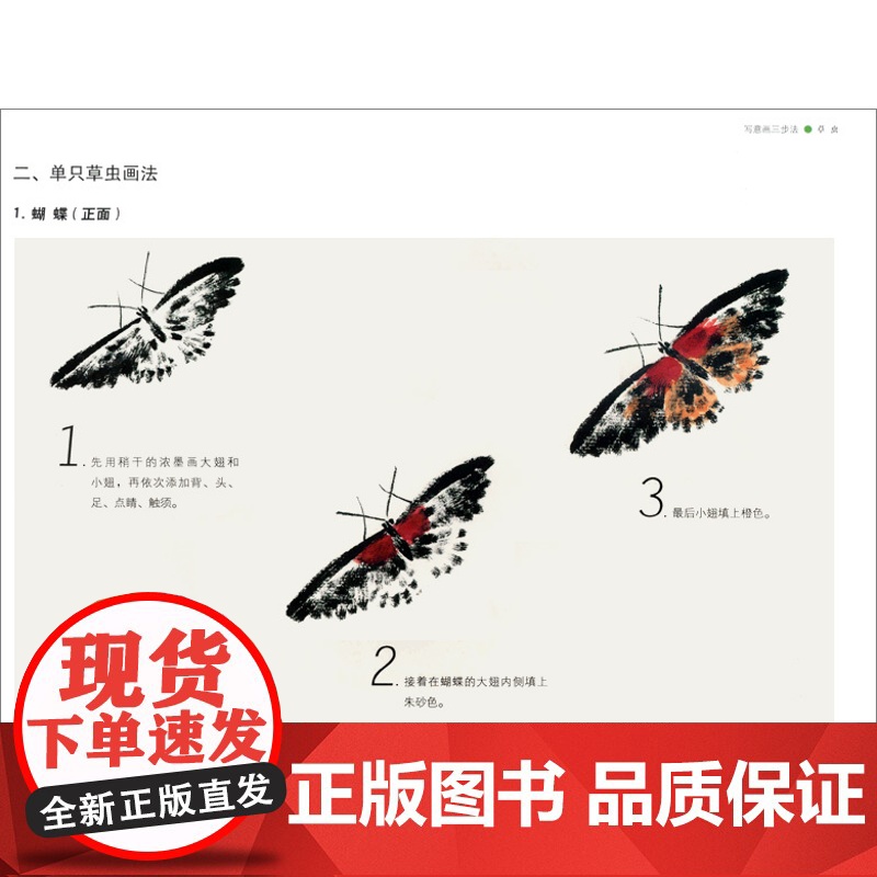 写意画三步法 虫草 写意虫草的画法 详细步骤解析 虫草教程 详细步骤解析 工笔水墨入门技法 上海人民美术出版社高清大图