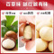 百草味(BE&CHEERY) 罐装夏威夷果500g