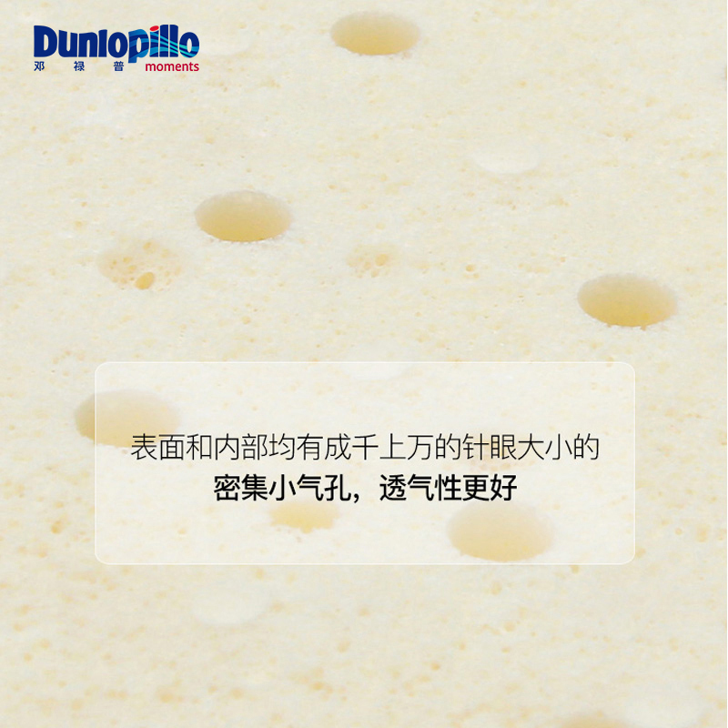 DUNLOPILLO/邓禄普 天然乳胶床垫荷兰进口榻榻米防滑垫特拉雷工艺