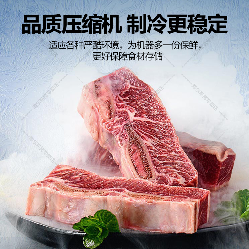 海尔商用厨房冰箱冷藏2门冷冻全铜全钢大容量酒店饭店餐厅食堂保鲜不锈钢 SL-460D2S高清大图