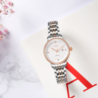 飞亚达(FIYTA)官方正品FIYTA Charming系列女手表镶钻自动机械钢带商务休闲腕表DLA26000.WWWD